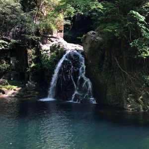 赤目四十八滝