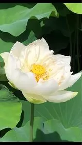 玉穂ふるさとふれあい広場
