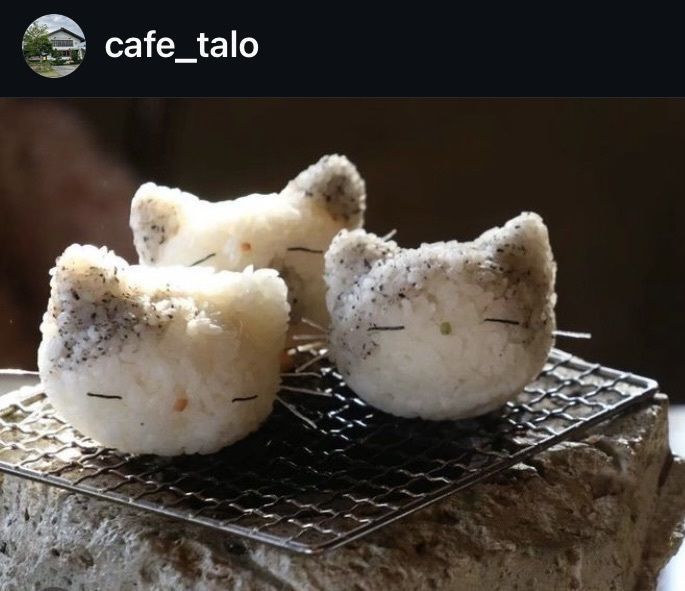 calm_gift_1030さんが投稿したcafe talo（カフェ タロ）に関する口コミの画像