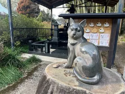 生善院観音堂（猫寺）