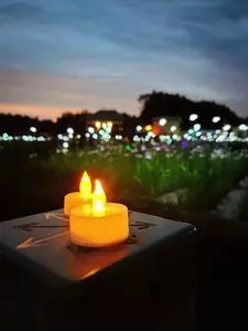 多賀城跡あやめ園