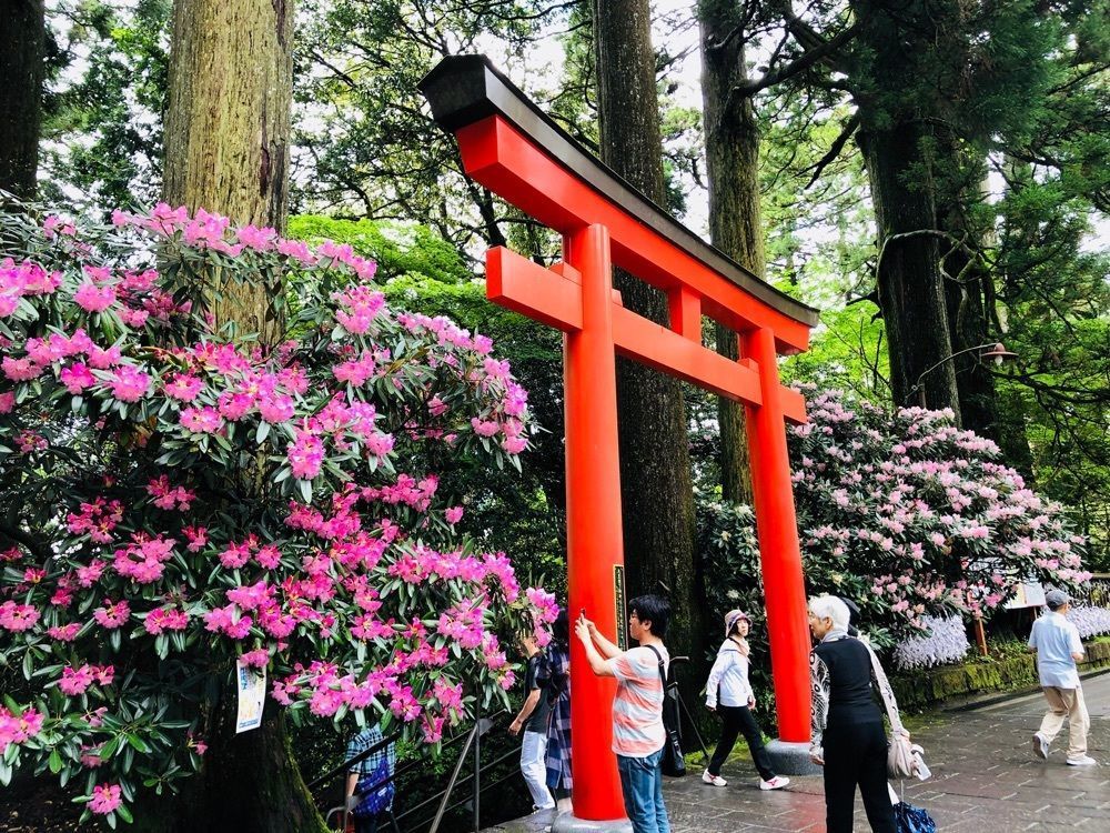 miiさんが投稿した山のホテルのツツジに関する口コミの画像
