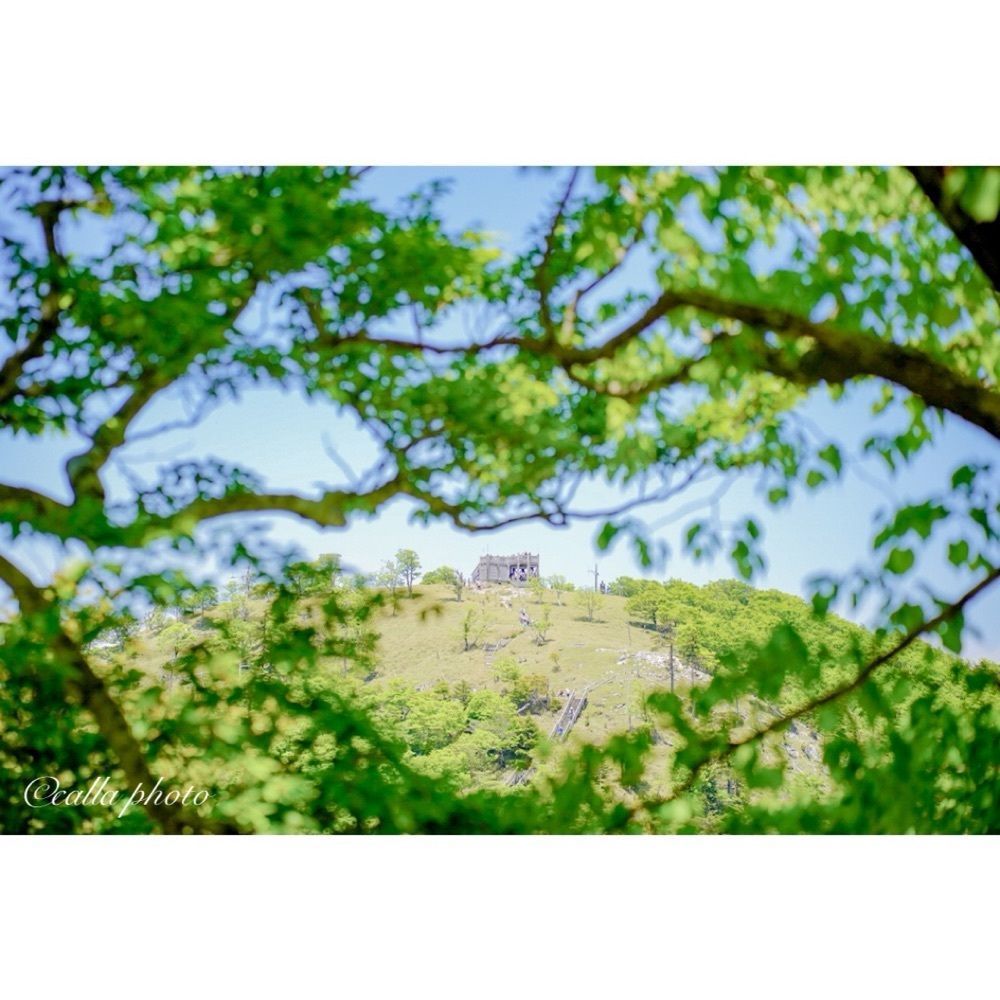urban_garden_243aさんが投稿した大台ヶ原（日出ヶ岳）に関する口コミの画像