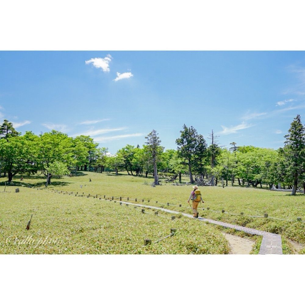 urban_garden_243aさんが投稿した大台ヶ原（日出ヶ岳）に関する口コミの画像