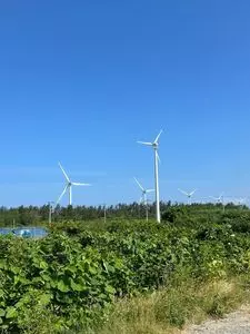 黄金崎不老ふ死温泉