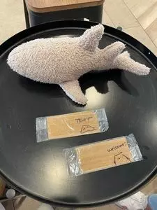 SHARK COFFEE（シャーク コーヒー）