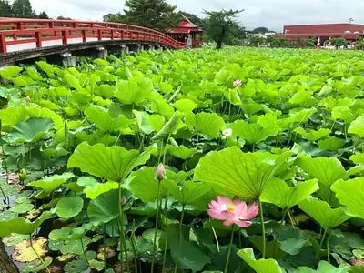 猿賀公園
