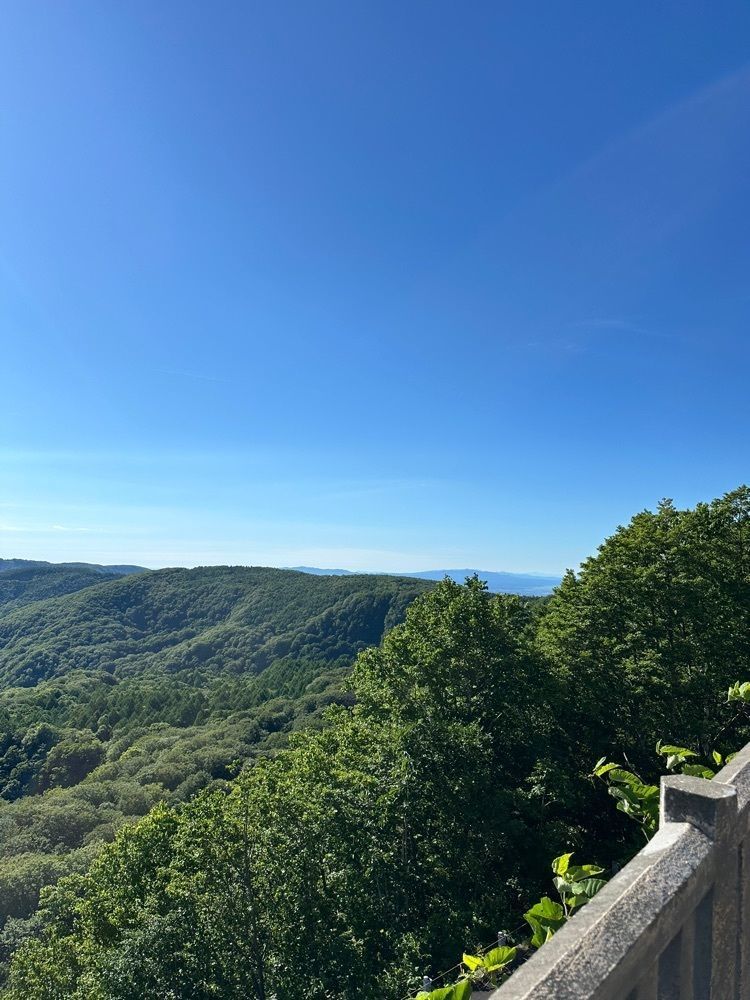 BOM-BA-YEさんが投稿した城ヶ倉大橋に関する口コミの画像