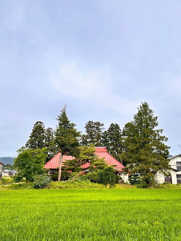 かめ_メグミさんが投稿したHOTEL SLOW VILLAGE（ホテル スロー ヴィレッジ）に関する口コミの画像