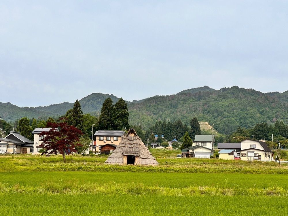 かめ_メグミさんが投稿したHOTEL SLOW VILLAGE（ホテル スロー ヴィレッジ）に関する口コミの画像