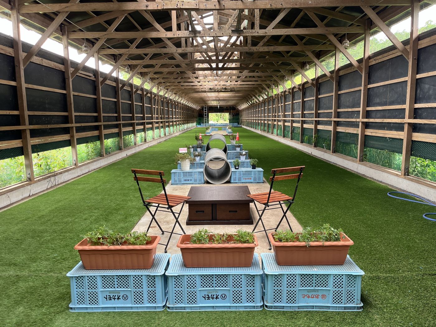 ぶんぶんさんが投稿したカフェ&アートスタジオ BLUE HOUSEに関する口コミの画像