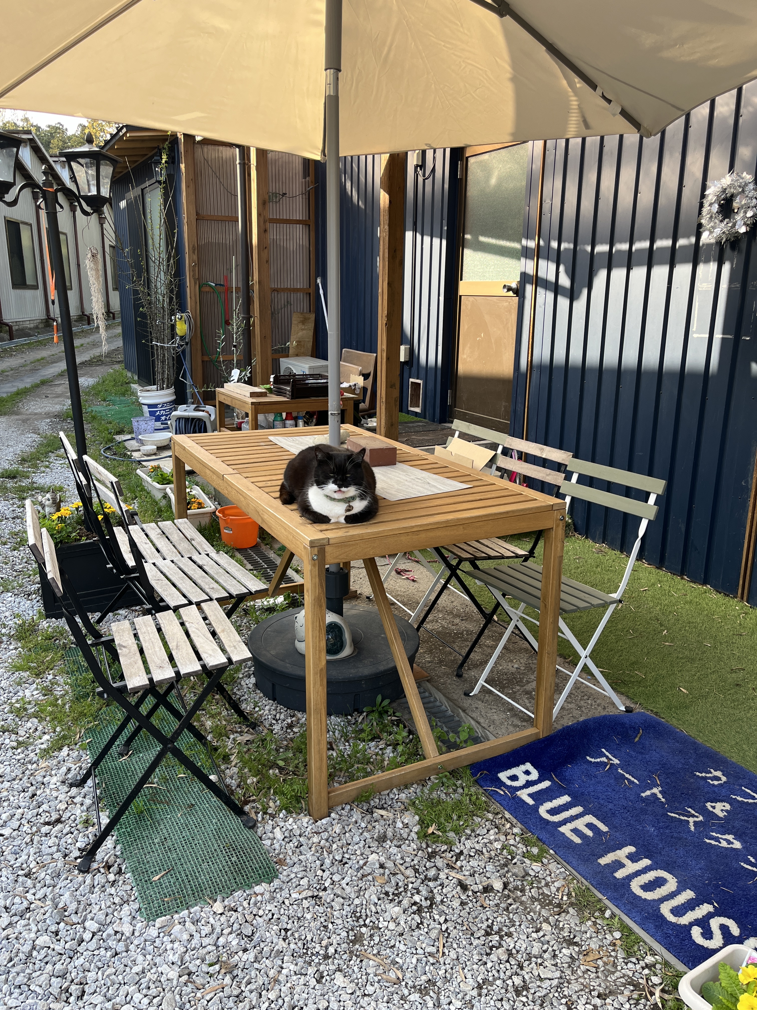 ぶんぶんさんが投稿したカフェ&アートスタジオ BLUE HOUSEに関する口コミの画像