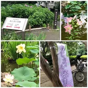 あじさい公園（東京都小平市）