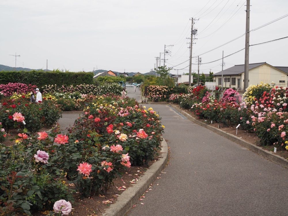なおなおさんが投稿した西尾市役所に関する口コミの画像