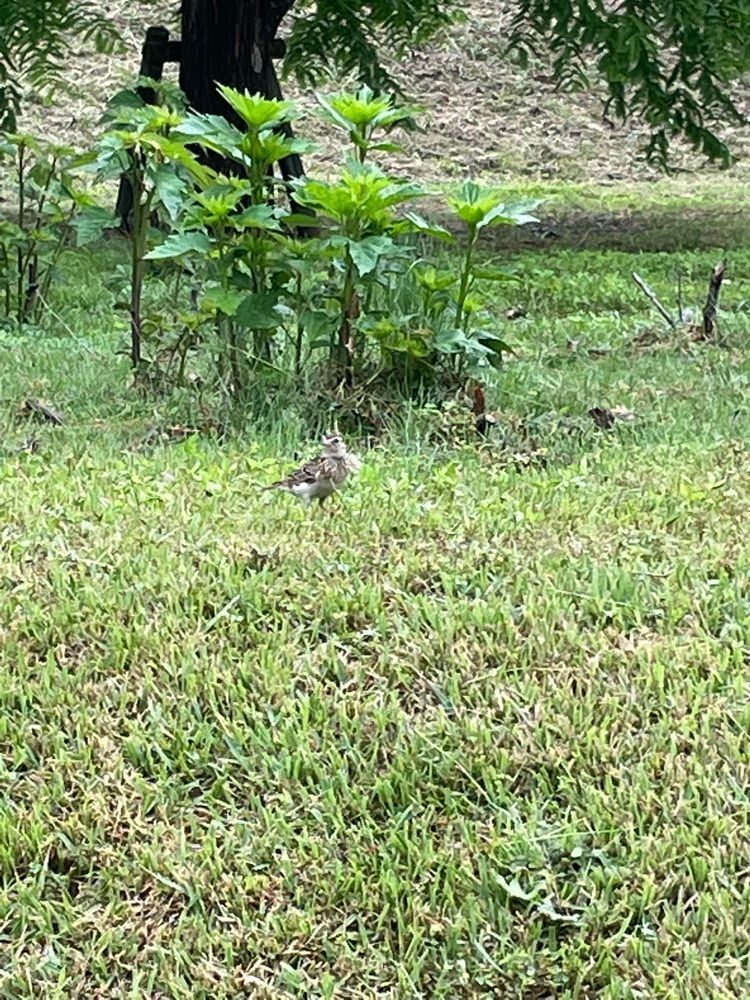 みーなさんが投稿した国営備北丘陵公園ビジターセンターに関する口コミの画像