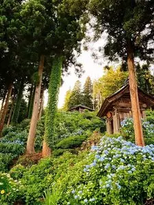 山刀伐峠