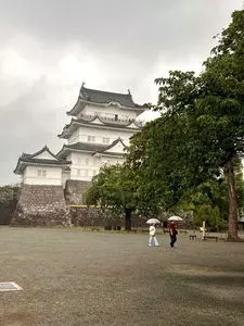 小田原城址公園のアジサイ