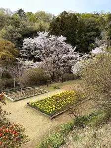 吾妻公園