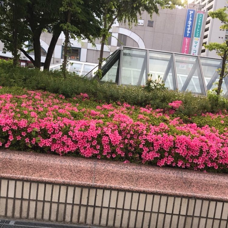 宮澤瑞さんが投稿したグリーン・グルメ セルバ仙台（Green gourmet）に関する口コミの画像