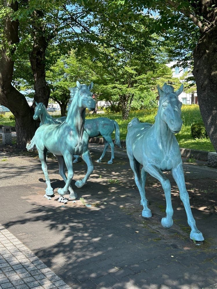 BOM-BA-YEさんが投稿した十和田市役所に関する口コミの画像