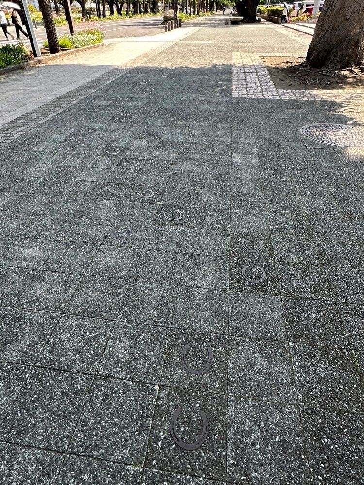 BOM-BA-YEさんが投稿した十和田市役所に関する口コミの画像