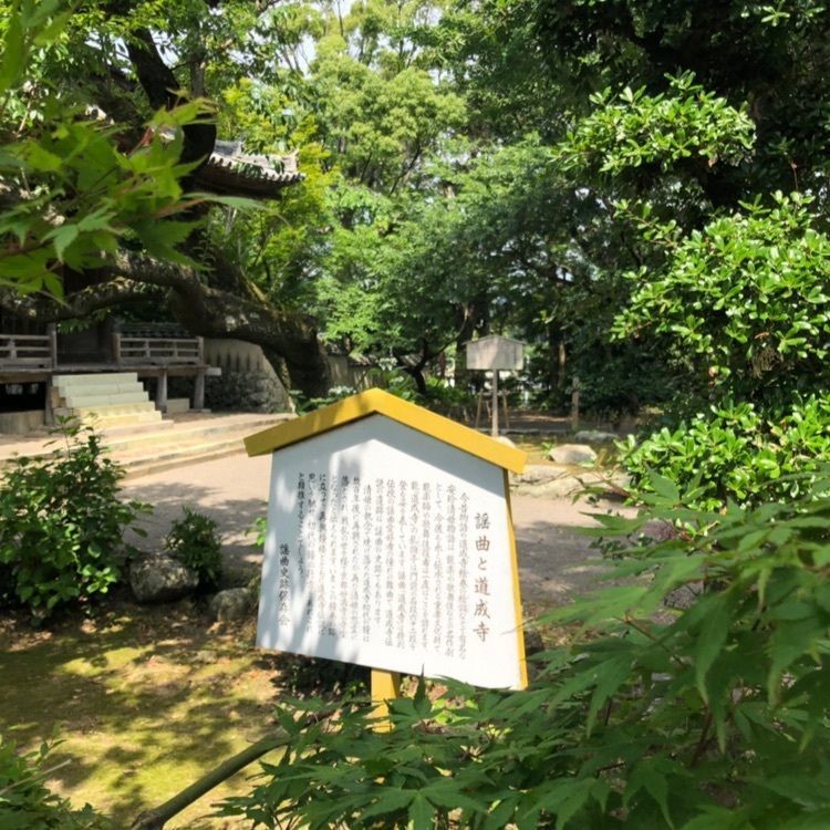 風雷人さんが投稿した道成寺「千手観音」に関する口コミの画像