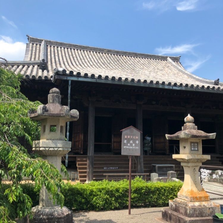風雷人さんが投稿した道成寺「千手観音」に関する口コミの画像