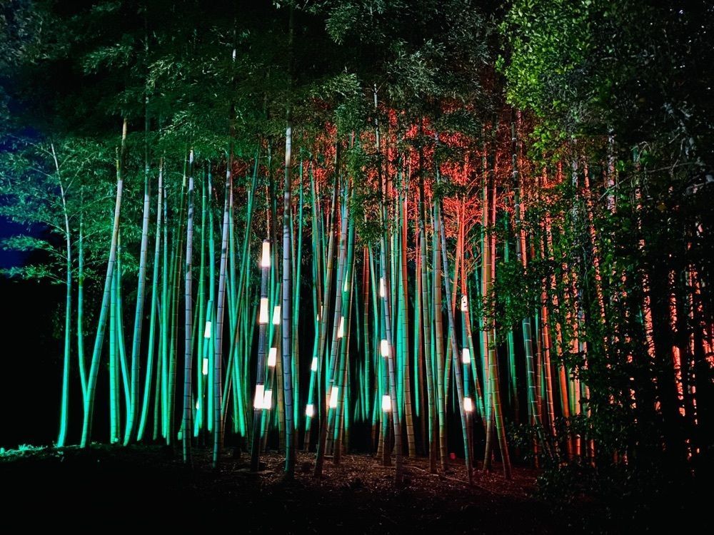mogmogさんが投稿した幻想庭園に関する口コミの画像