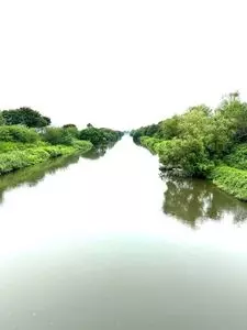 渡良瀬遊水地（埼玉県加須市）