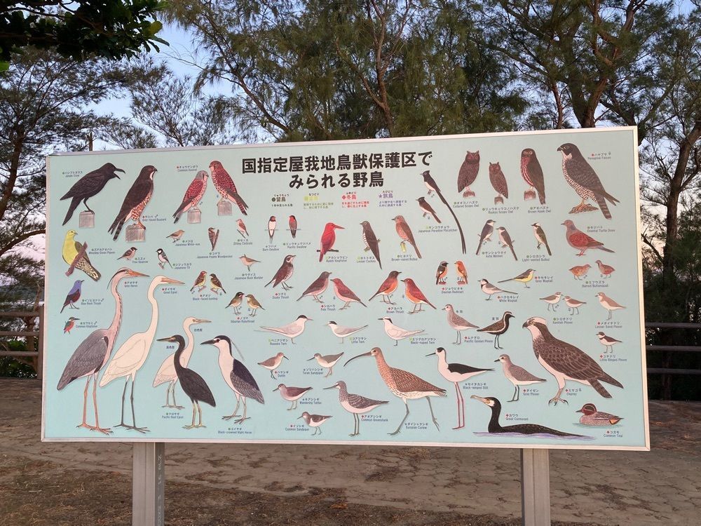ゴンさんが投稿した屋我地島に関する口コミの画像