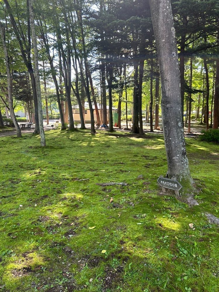 jun1216さんが投稿した駒場公園野外劇場に関する口コミの画像