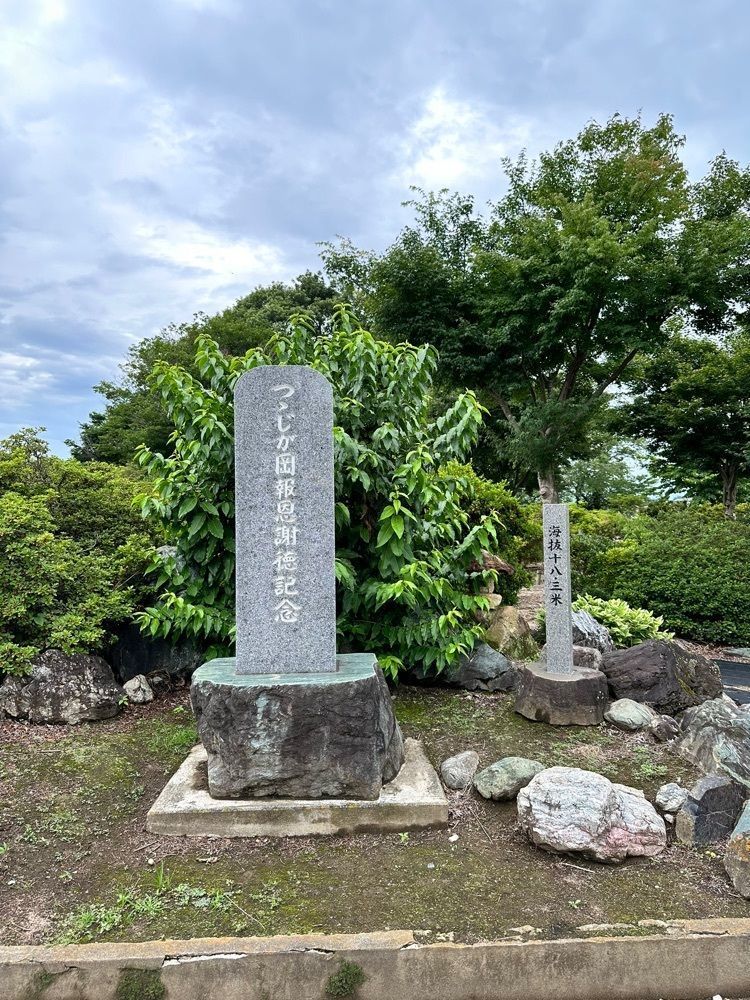 からっ風②さんが投稿した城沼の花ハスに関する口コミの画像