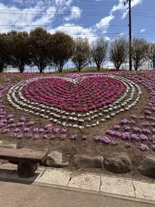 みさと芝桜公園