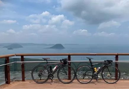 川古の大楠