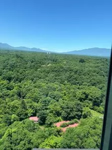 浅間牧場