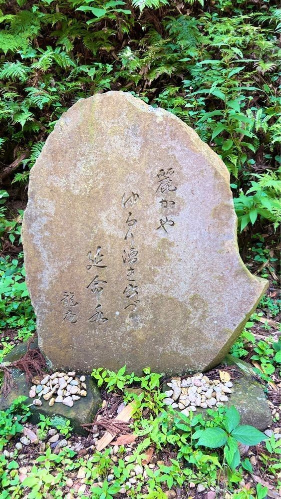 miiさんが投稿した三笠（ミカサ）に関する口コミの画像