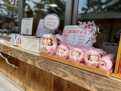 龍城神社 8枚目