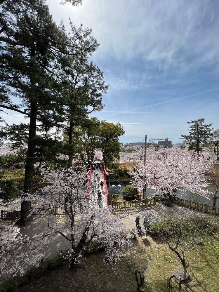 yuyuさんが投稿した龍城神社に関する口コミの画像