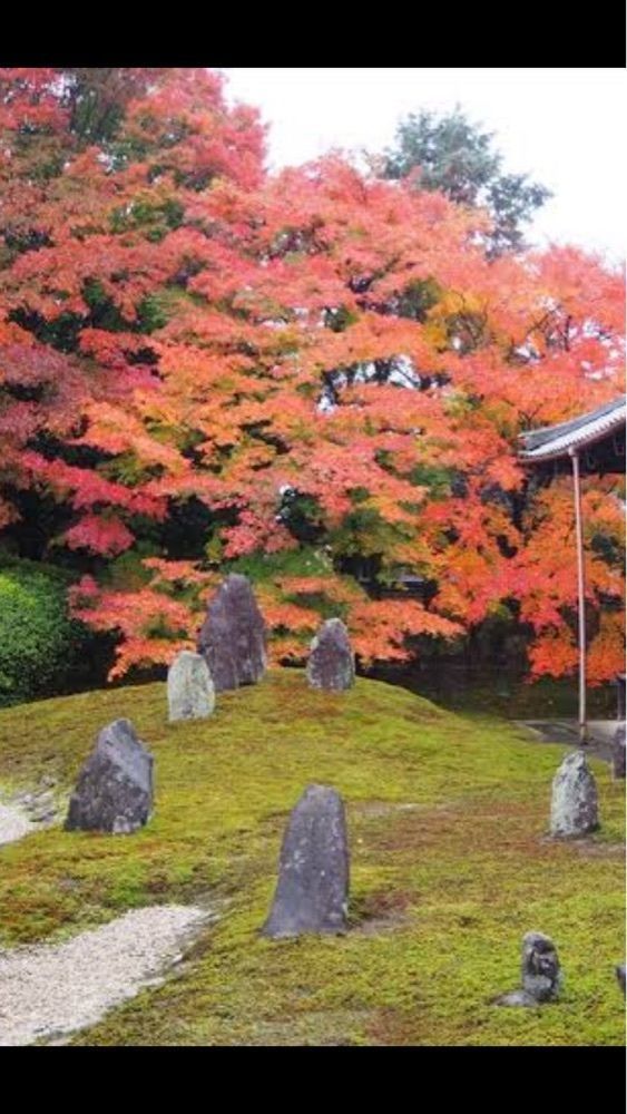 京都を巡る会・「武」さんが投稿した東福寺 光明院に関する口コミの画像