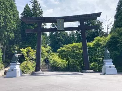 山住茶店 大杉