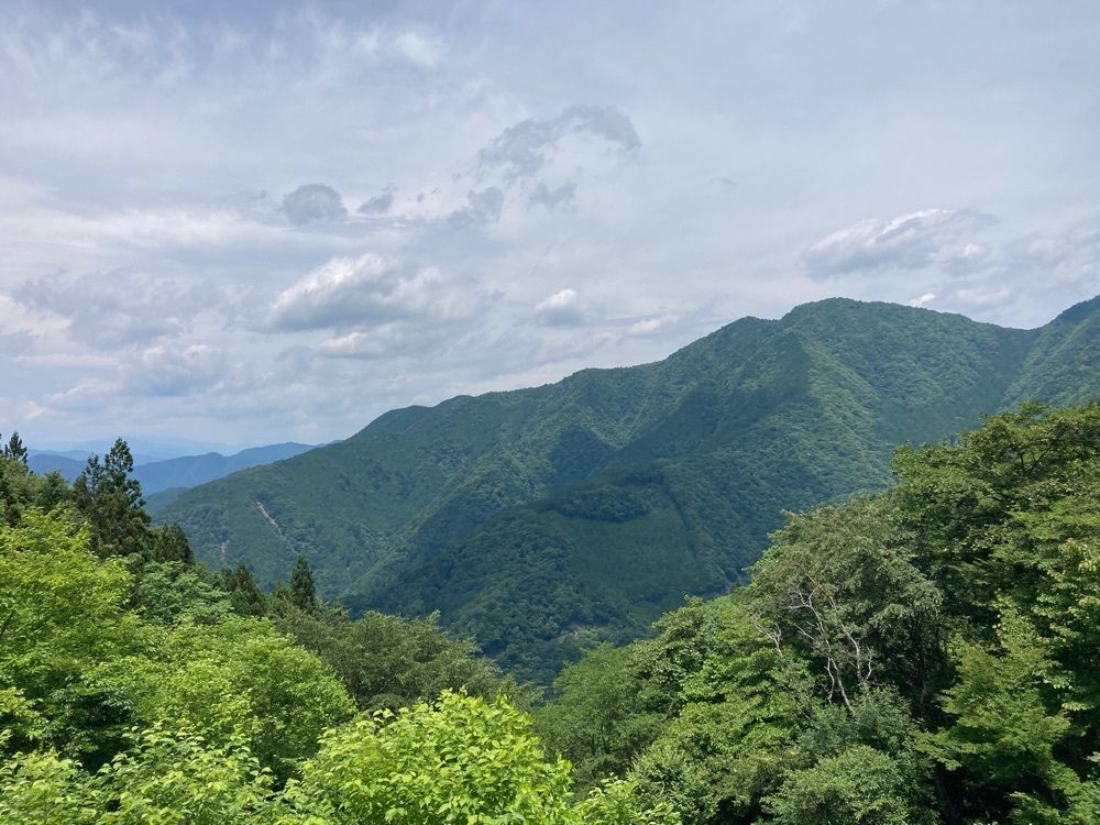 Howl Monさんが投稿した山住茶店 大杉に関する口コミの画像