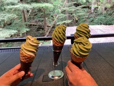 古今藤や