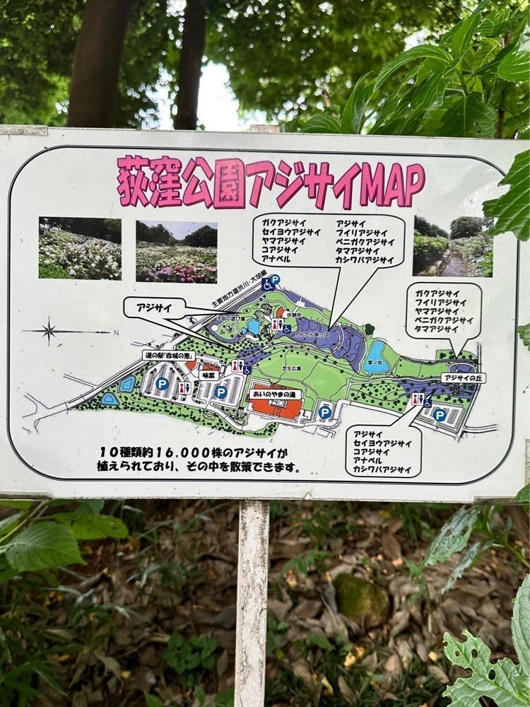 からっ風②さんが投稿した環境システム 荻窪公園に関する口コミの画像