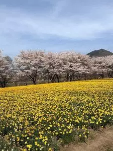 岩井親水公園