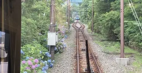 箱根登山鉄道