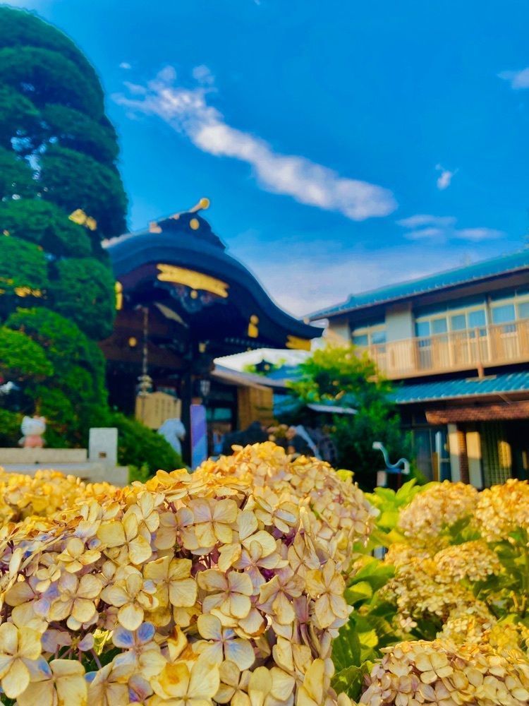 smile☺︎さんが投稿したみずほ台駅に関する口コミの画像
