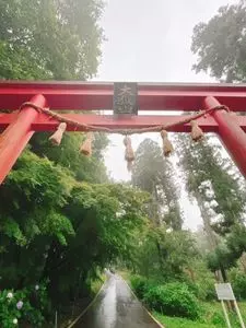 大嶽山の紫陽花