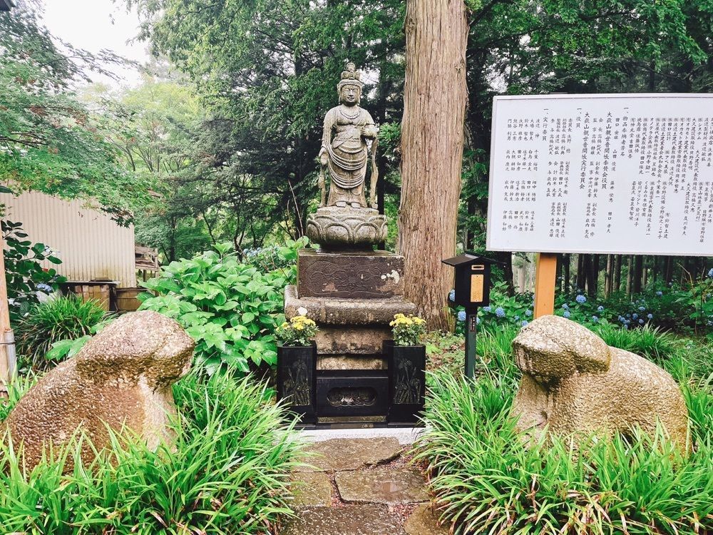 猫なぎ。さんが投稿した大嶽山の紫陽花に関する口コミの画像
