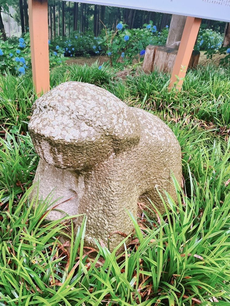 猫なぎ。さんが投稿した大嶽山の紫陽花に関する口コミの画像