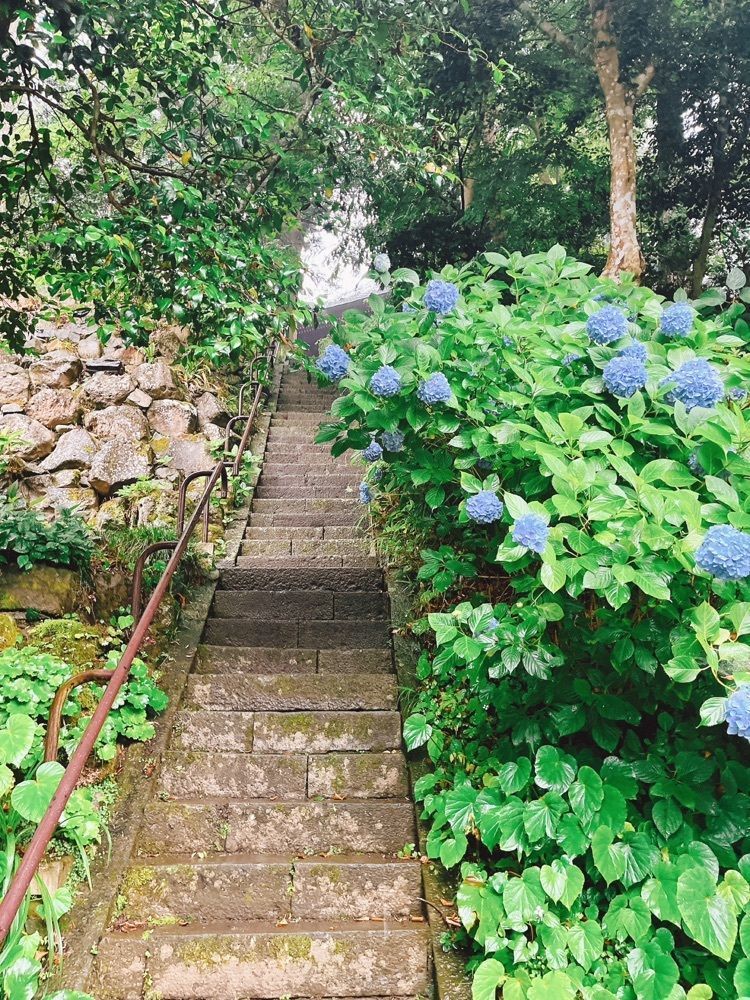 猫なぎ。さんが投稿した興福寺に関する口コミの画像